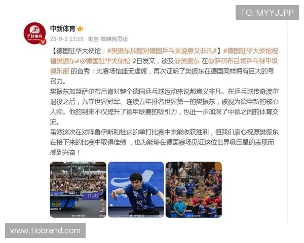 德国驻华大使馆：樊振东加盟将极大提升德国乒乓球水平与国际影响力